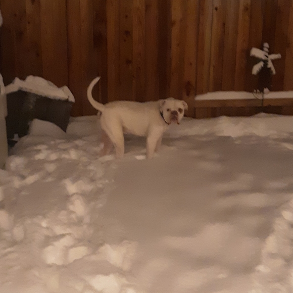 WIN IT WEDNESDAY $5 to $10 STARTS🎱🎱🎱🎱TIME TO CLEAN YOUR CLOSET 🎱🎱🎱🎱 - Picture 4 of 8